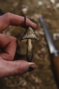 Image 2 of Oak Fired Mushroom 