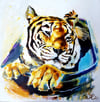 Tiger in the Bathroom
