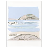 Iona screen print