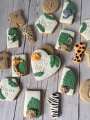 Image 4 of Safari explorer