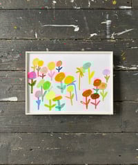 Image 1 of Daily Flowers 080225