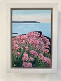 Image 1 of ‘SUMMER IN FALMOUTH’