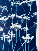 Original Flowering Cyanotype