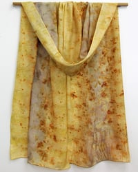 Image 2 of Soft Autumn Light - ecoprint and plant dyed silk scarf