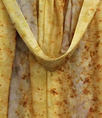 Image 3 of Soft Autumn Light - ecoprint and plant dyed silk scarf