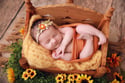 Newborn session fee only