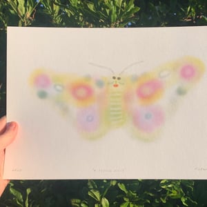 Butterfly Digital Print 