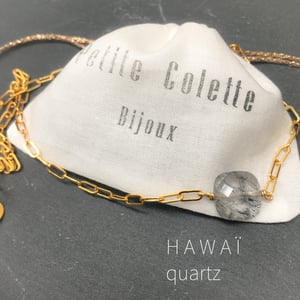 Image of COLLIER HAWAI