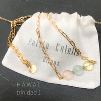 Image 2 of COLLIER HAWAI