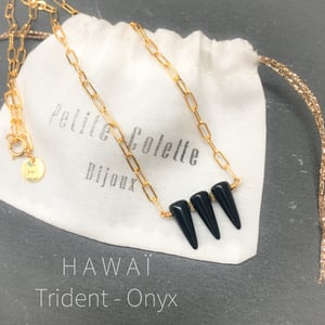 Image of COLLIER HAWAI