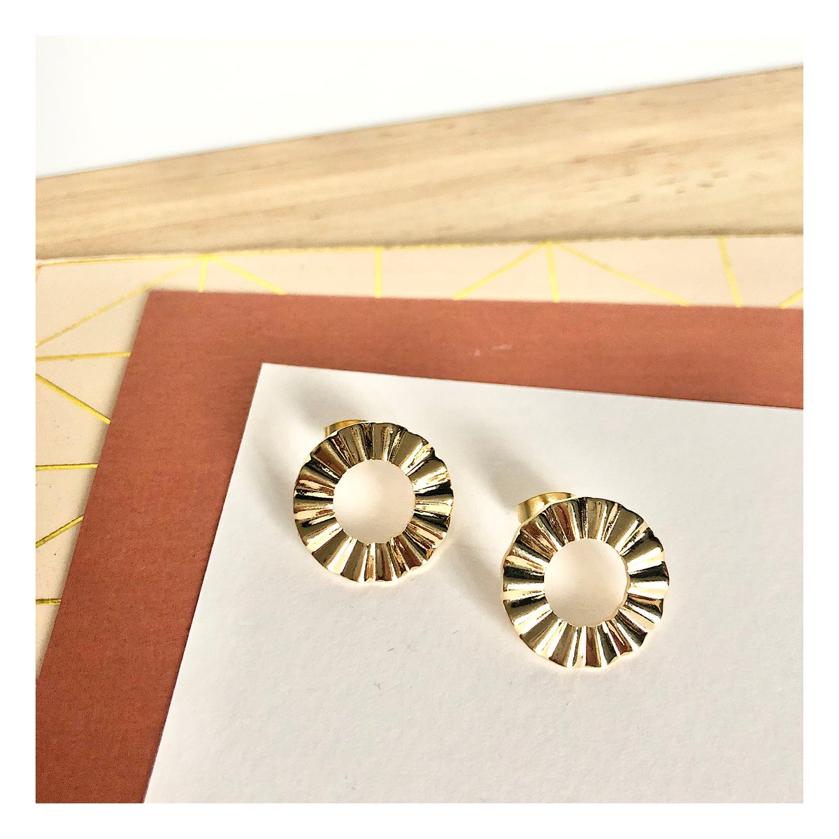 Puces d'oreilles ONDULE