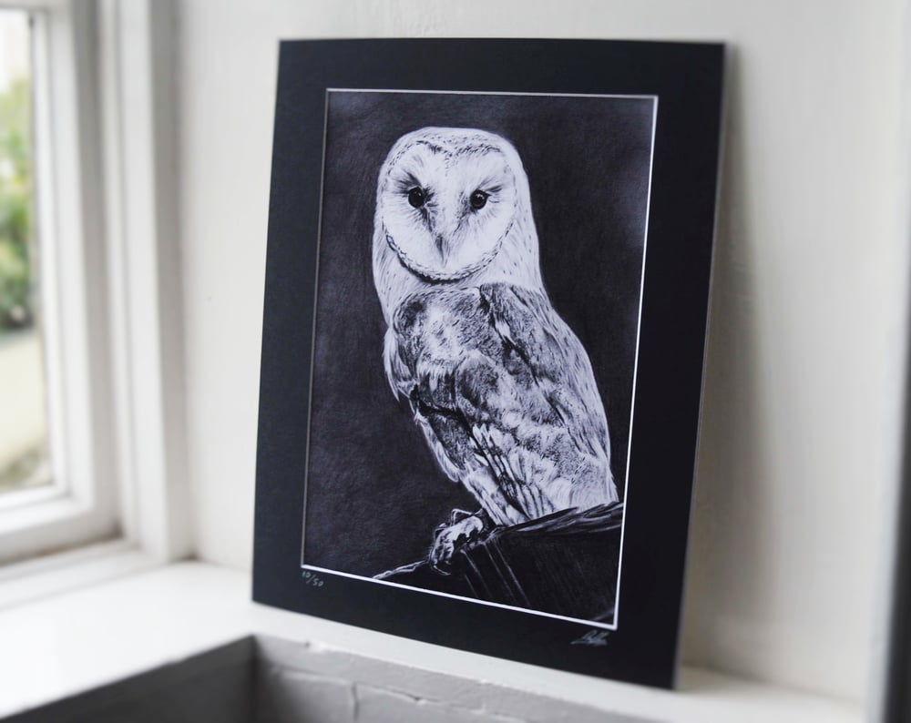 Night Owl (Limited edition print)