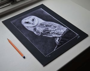 Night Owl (Limited edition print)