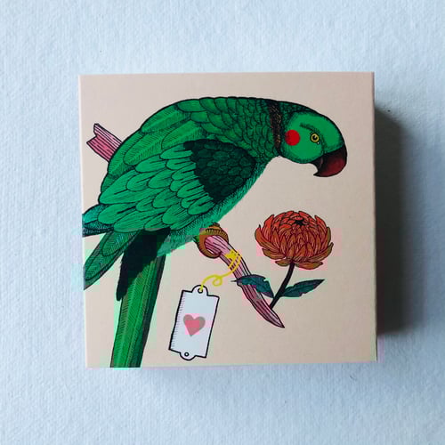Image of Parrot Matches