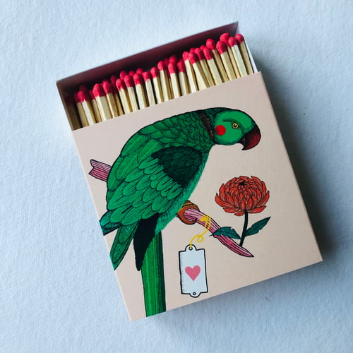 Image of Parrot Matches