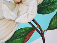 Image 4 of Southern Magnolia 