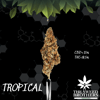 Tropical