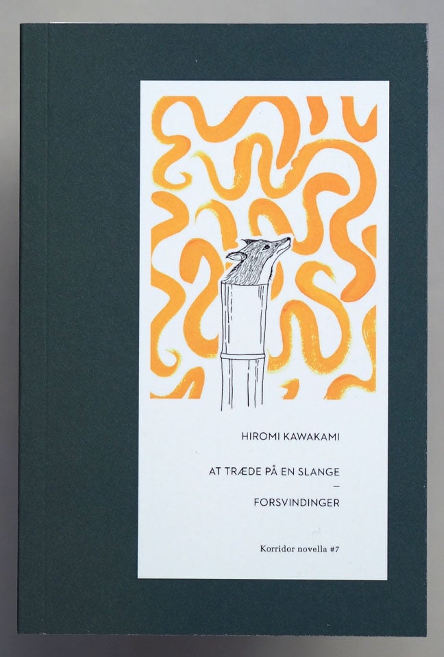 Image of At træde på en slange & Forsvindinger