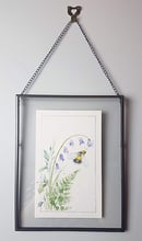 Image of Bee and Bluebell 5”x8” Framed