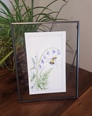 Image of Bee and Bluebell 5”x8” Framed 