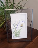 Image of Bee and Bluebell 5”x8” Framed