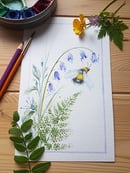 Image of Bee and Bluebell 5”x8” Framed