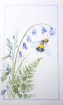Image of Bee and Bluebell 5”x8” Framed 