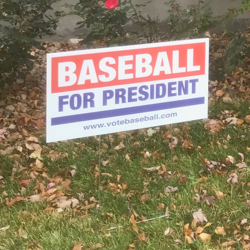 Image of Campaign Yard Sign