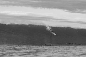 Image of 9'6 Parlementia Hull