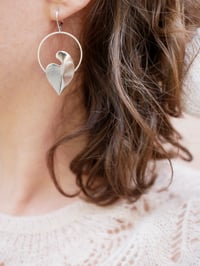 Image 3 of Boucles d'Oreilles MINGO Argentées