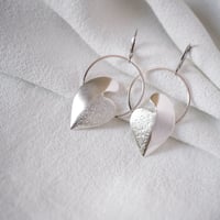 Image 1 of Boucles d'Oreilles MINGO Argentées