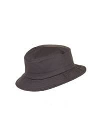 Image 1 of The Polar Rain