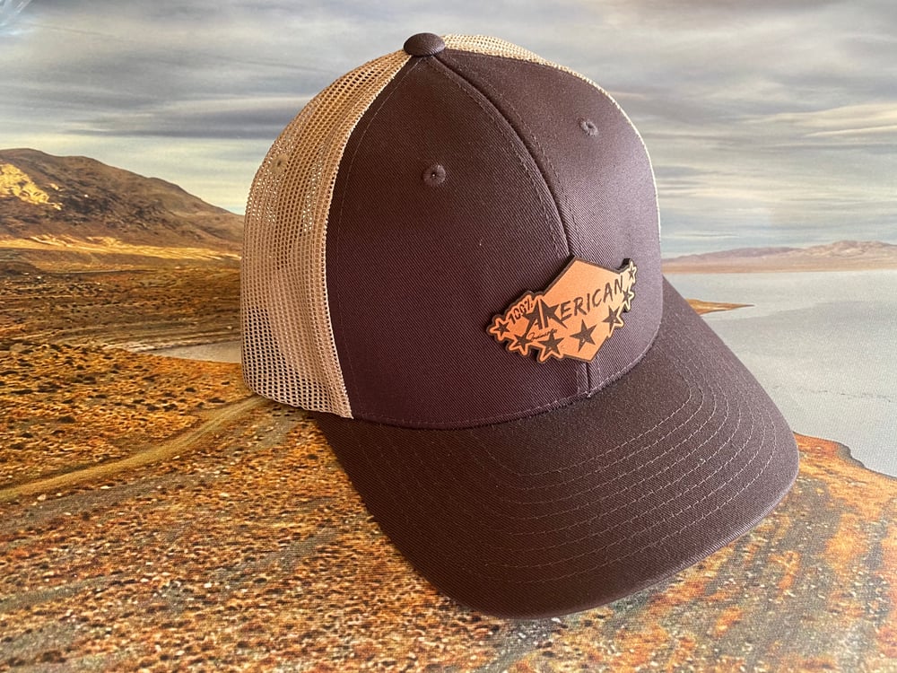 Image of Curved Brown/Khaki Snapback 