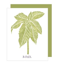 Basil