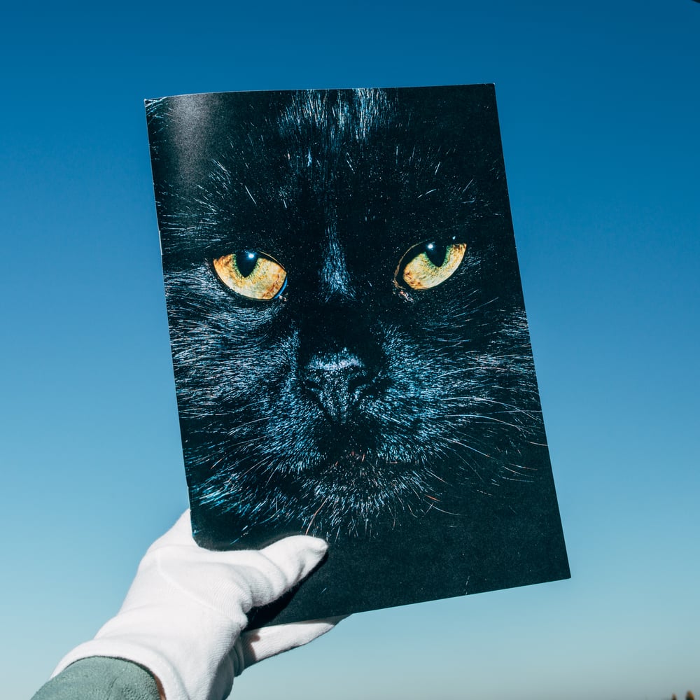 Image of Nikita Teryoshin - Backyard Diaries Vol.1 - BLACK CAT EDITION incl. Print