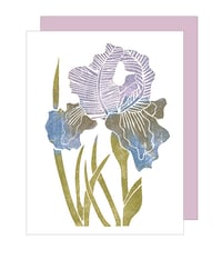 Blue Iris