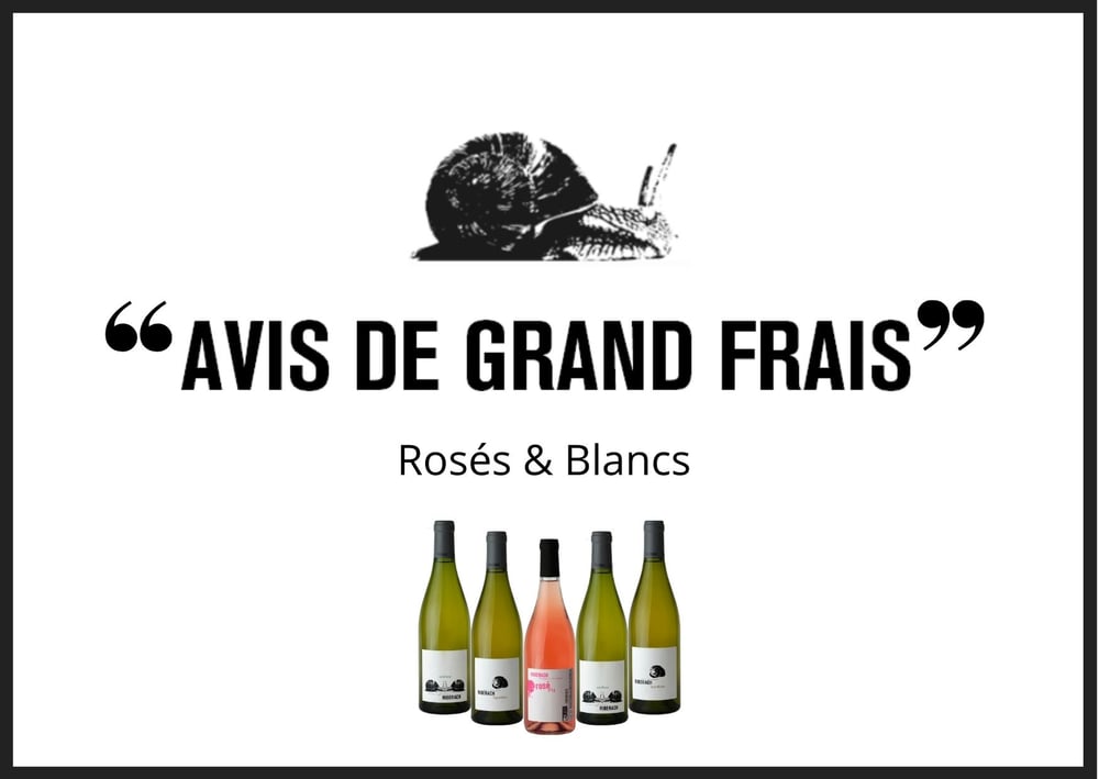 Image of "Avis de Grand Frais" - 12 bouteilles