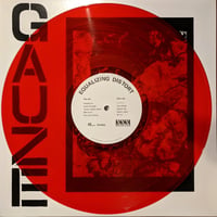 Image 2 of GAUZE "Equalizing Distort" LP