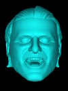Owen Hart 3D Printed Head