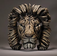 Image 1 of Edge Sculpture "Lion Bust - Savannah"