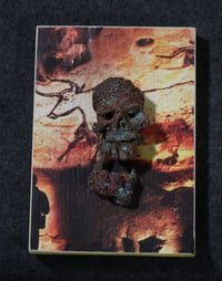 Image 1 of Skull plaque 1