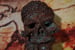Image of Skull plaque 1