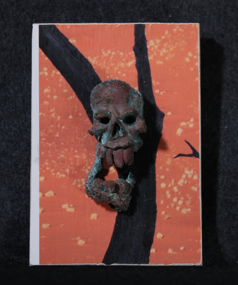 Image of Skull plaque 2