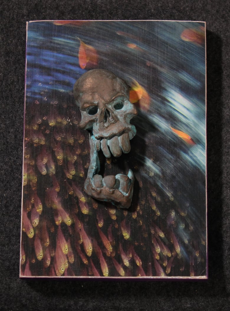 Image of Skull plaque 4