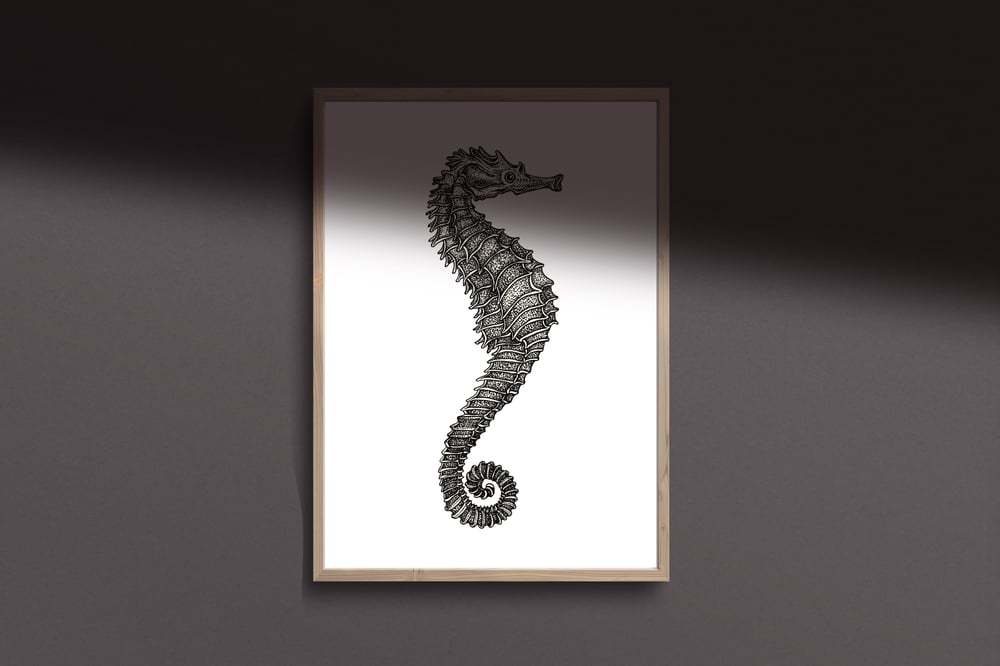 The Seahorse