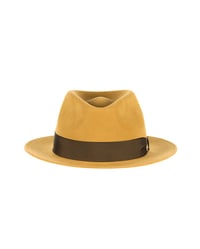 Image 2 of The Trento