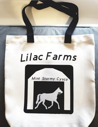 Image 4 of Totes 