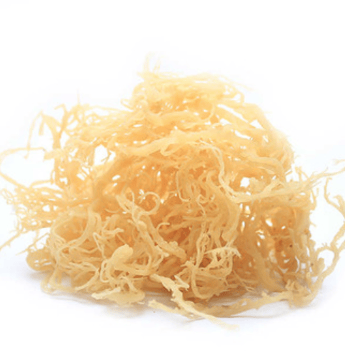 Image of RaVeg Sea Moss