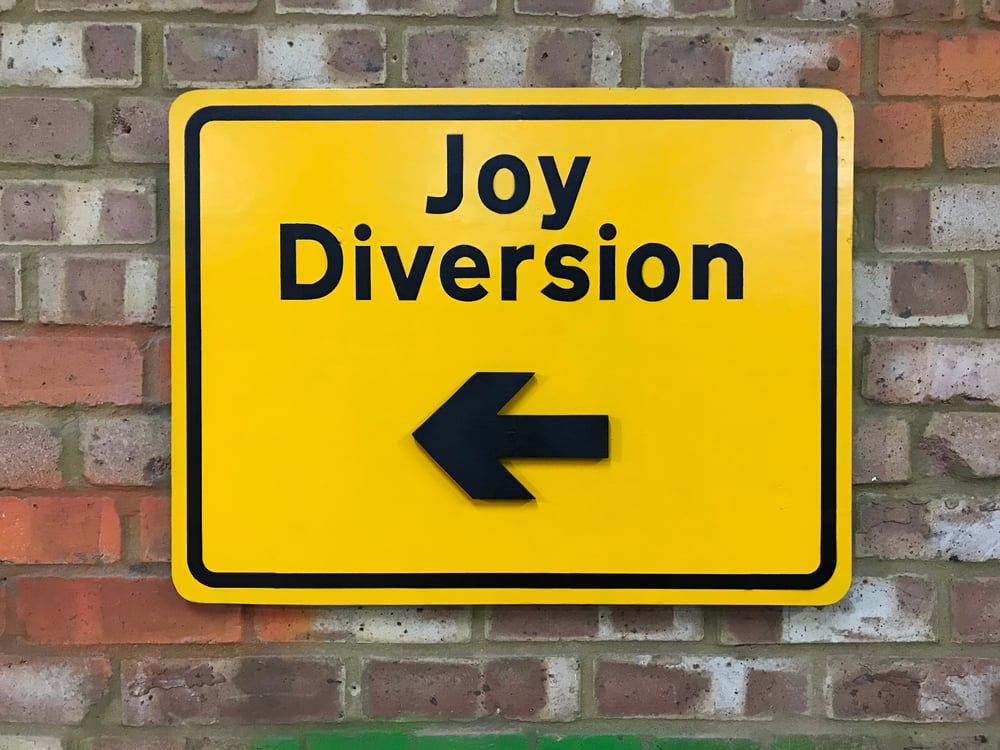 Image of Joy Diversion