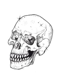 Image 1 of Hessian’s Skull